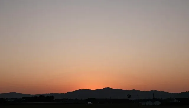东莞网页制作公司如何利用供需信息匹配服务提升企业信息查询效率
